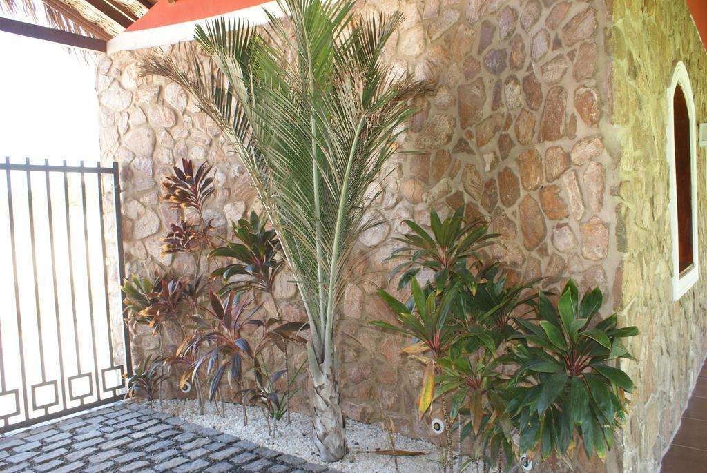 Apartmán Flat La Fazenda Canoa Quebrada Exteriér fotografie